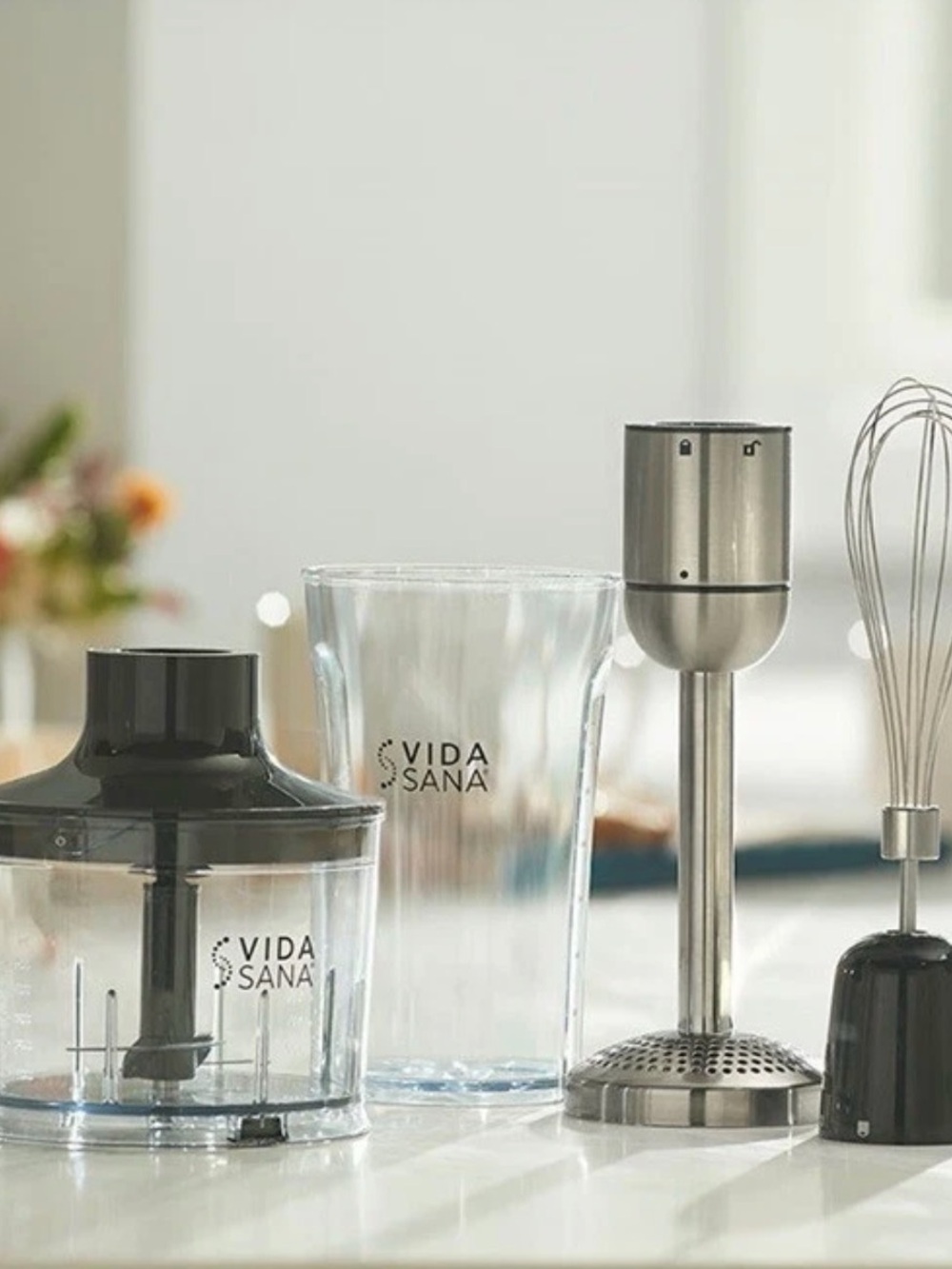Princess House Immersion Blender Set in Silver and Black
